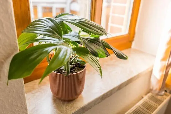 Apartment Stadtgut Moelkau