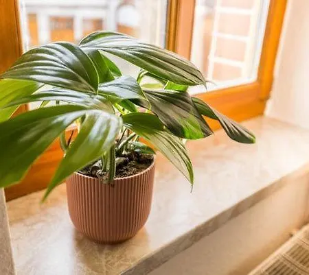 公寓 Stadtgut Moelkau